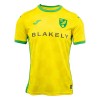 Officiële Voetbalshirt Norwich City Thuis 2024-25 - Heren